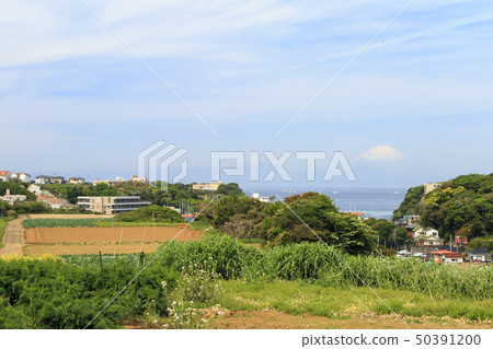 Field (spring) 50391200