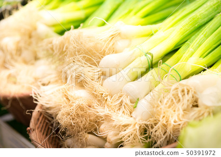 Bunches of green onion at market Bunches of green onion at market 50391972