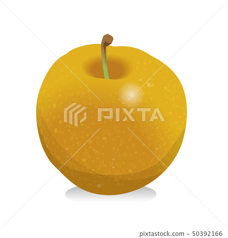 No illustrations of pears | autumn fruits food Autumn taste | vector data 50392166