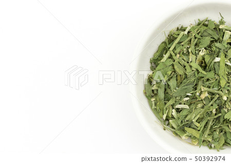 Goat Lu Milk Herb Galaga officinalis: Goat's Rue Goat Lu Milk Herb Galaga officinalis: Goat's Rue 50392974