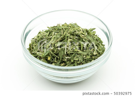 Goat Lu Milk Herb Galaga officinalis: Goat's Rue 50392975