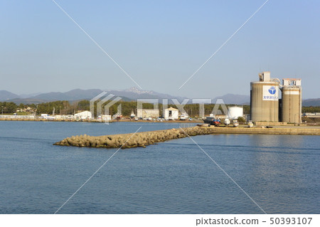 新潟縣的Iwafune港 50393107