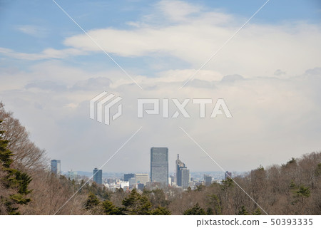 從八千山看見的仙台市在春天 50393335