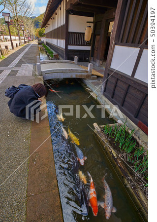 島根的Tsuwano Tonomachi街（San的小京都） 50394197