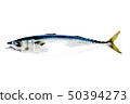Mackerel 50394273