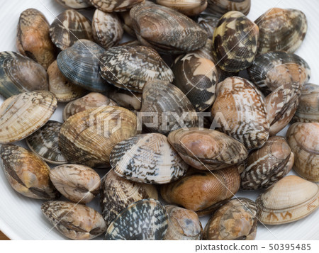 Asari Asari 50395485