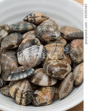 Asari Asari 50395487