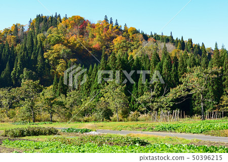 鐵路旅遊Tadami線Aizu Nakagawa 鐵路旅遊Tadami線Aizu Nakagawa 50396215