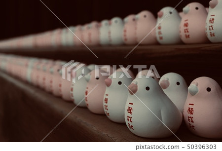 許多小雞 50396303