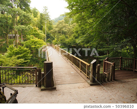 Yugashima encounter bridge 50396810