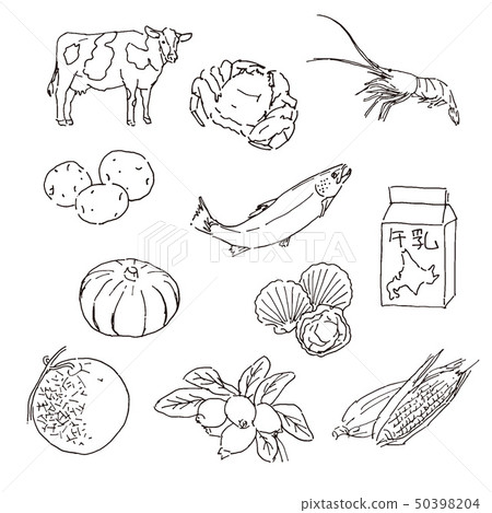 Hokkaido special product hand drawn sketch illustration 50398204