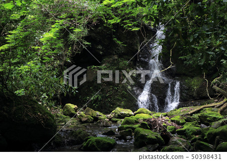 Minamata Falls (Minami Boso City) 50398431