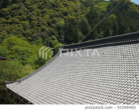 Hase Temple Hase Temple 50398460
