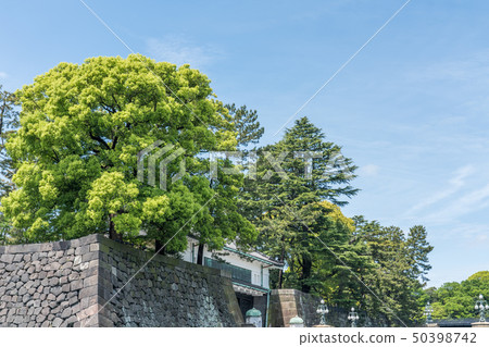 State of the Imperial Palace on May 1st, 2008 State of the Imperial Palace on May 1st, 2008 50398742