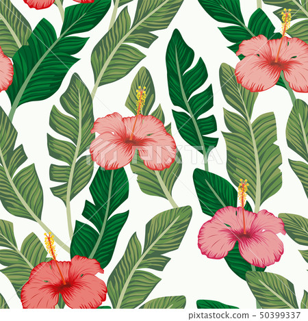 Green banana leaves hibiscus seamless white Green banana leaves hibiscus seamless white 50399337