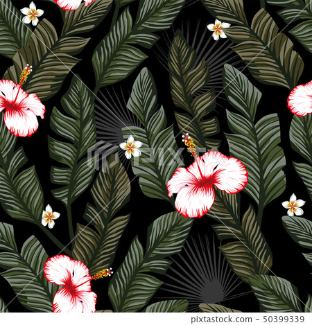 Banana leaves hibiscus seamless black backgorund Banana leaves hibiscus seamless black backgorund 50399339