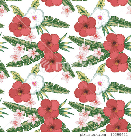 Hibiscus plumeria green leaves seamless white 50399421