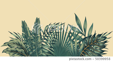 Jungle composition tropical leaves pattern Jungle composition tropical leaves pattern 50399958