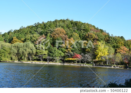 Ibukiyama和三島池塘 50400122