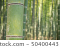  Bamboo grove 50400443