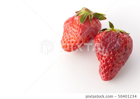 爛草莓 爛草莓 50401234