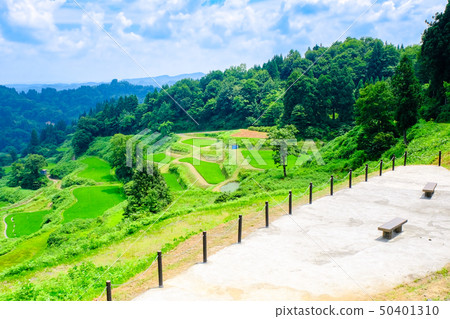  Rice terrace of Gamo 50401310