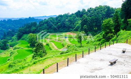  Rice terrace of Gamo 50401311