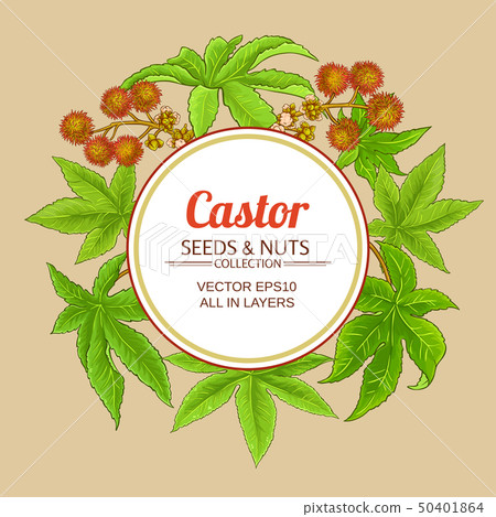 castor vector frame 50401864