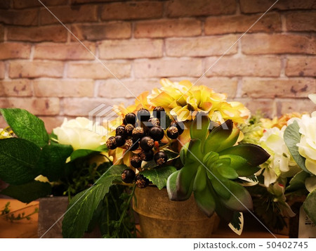 Foliage plant Foliage plant 50402745