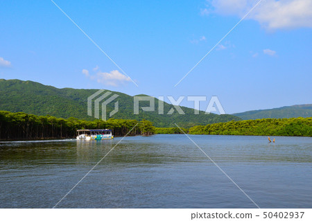 Iriomote Island Nakagawa Iriomote Island Nakagawa 50402937
