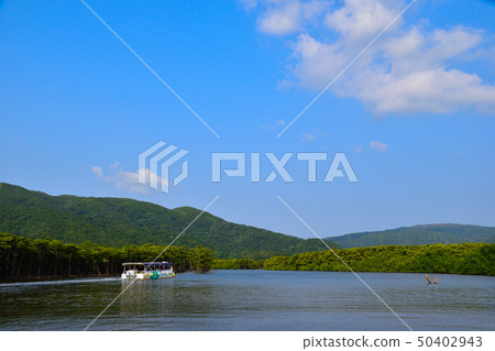Iriomote Island Nakagawa 50402943