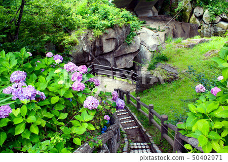 [Miyagi]帶有繡球花的梨花京峽谷 50402971