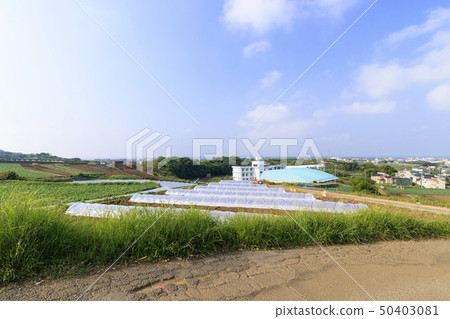 Field (spring) 50403081
