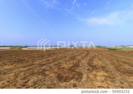 Field (spring) Field (spring) 50403252