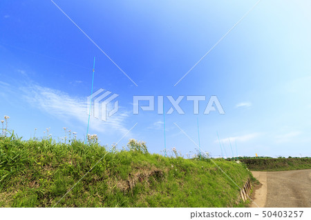 場（春天） 50403257