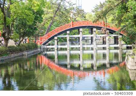 Sumiyoshi Taisha Shrine Sumiyoshi Taisha Shrine 50403309