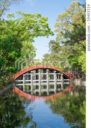 Sumiyoshi Taisha Shrine Sumiyoshi Taisha Shrine 50403314