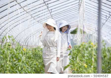 Family parent and child 50404587