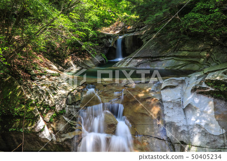 新鮮的綠色富士河谷 50405234