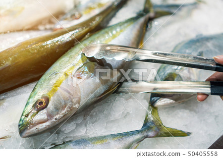 Raw fresh fish on cold Ice with hand holding Raw fresh fish on cold Ice with hand holding 50405558