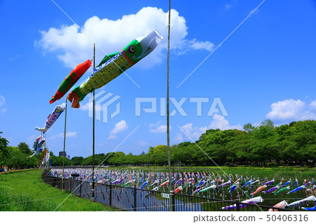 Carp streamer Carp streamer 50406316