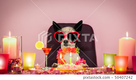 happy birthday dog happy birthday dog 50407242
