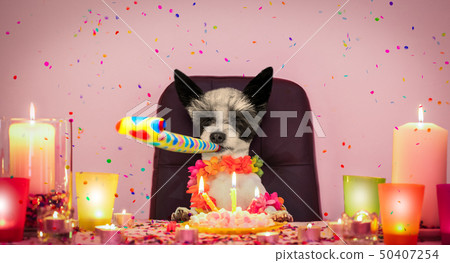happy birthday dog happy birthday dog 50407254