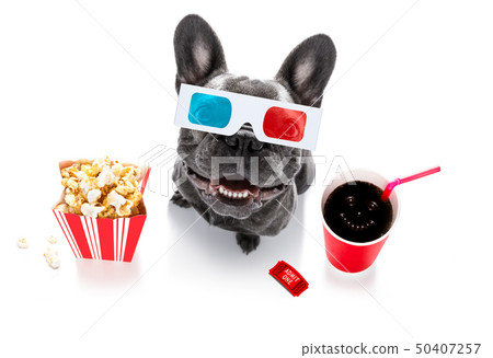 dog to the movies dog to the movies 50407257
