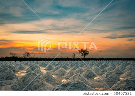 Salt farm in the morning with sunrise sky. Organic 50407521