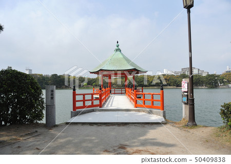 Ukimido of Ohori Park in Fukuoka 50409838