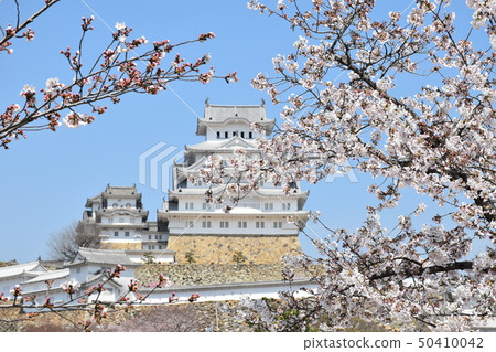 Himeji castle   50410042