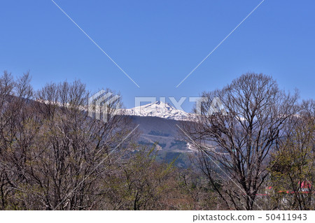 Snowy Dainichi Snowy Dainichi 50411943