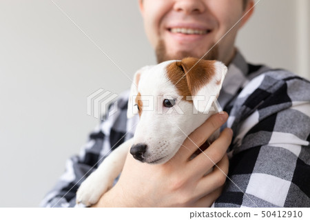 People and pet concept - Close up portrait of jack russell terrier puppy sitting on the man's hands People and pet concept - Close up portrait of jack russell terrier puppy sitting on the man's hands 50412910