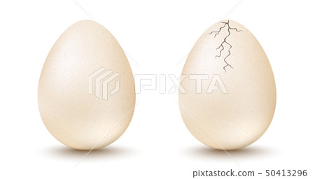 egg and cracked egg 50413296
